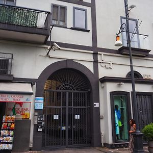 Domus Narciso Gallery